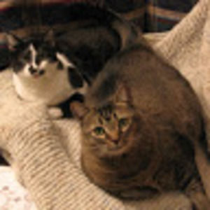 Meet your Posher, Bianca